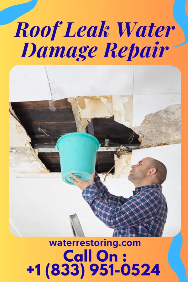 Roof Leak Water Damage Repair in Milroy, MN