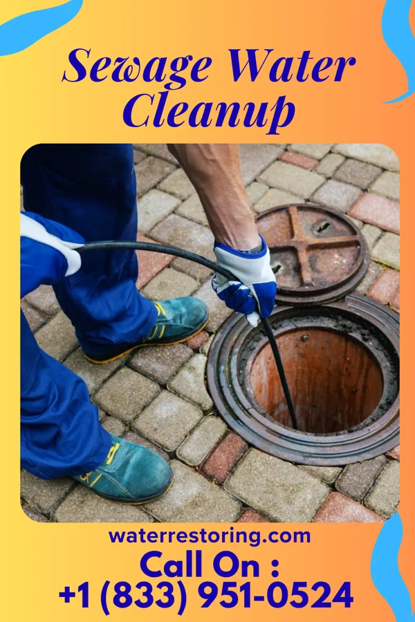 Sewage Water Cleanup in Milroy, MN